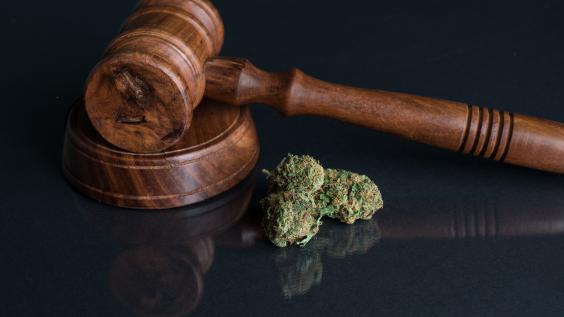 Public Health Perspectives: Analyzing the Impact of Marijuana Laws in Oklahoma